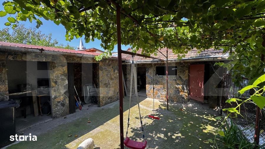 Casă cu 6 camere cu Teren 585 Mp în Teiu