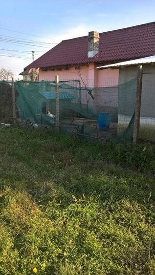 Casă cu 3 camere cu Teren 5002 Mp în Butimanu