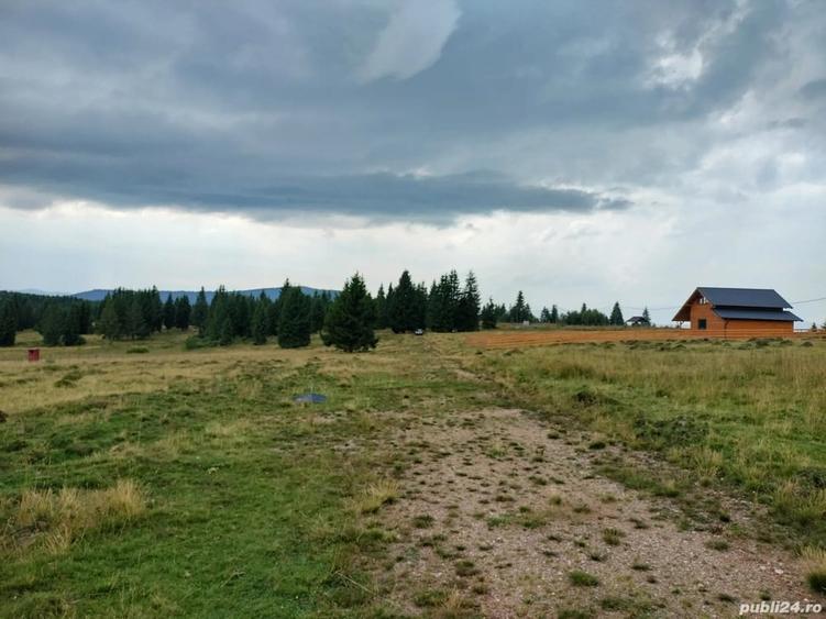 Teren de 1000 mp, în Beliș