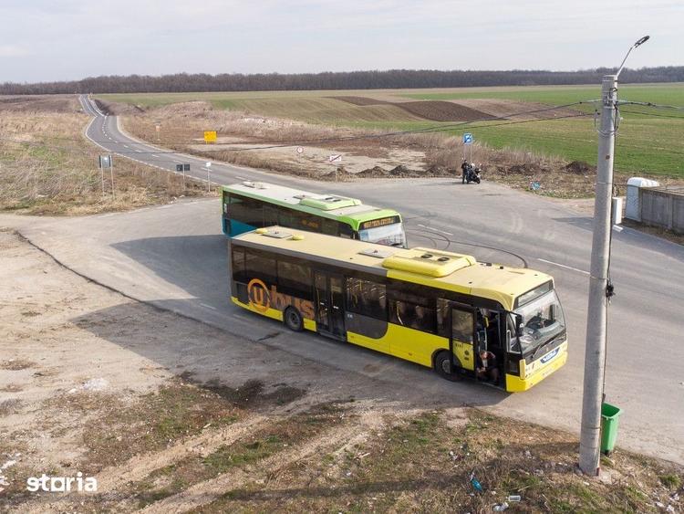 Teren de 13368 mp, în Cernica