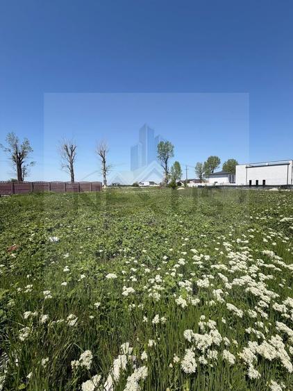 Teren Construcții intravilan de 375 mp, în Vidra