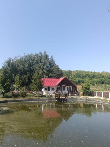 Casă în Central
