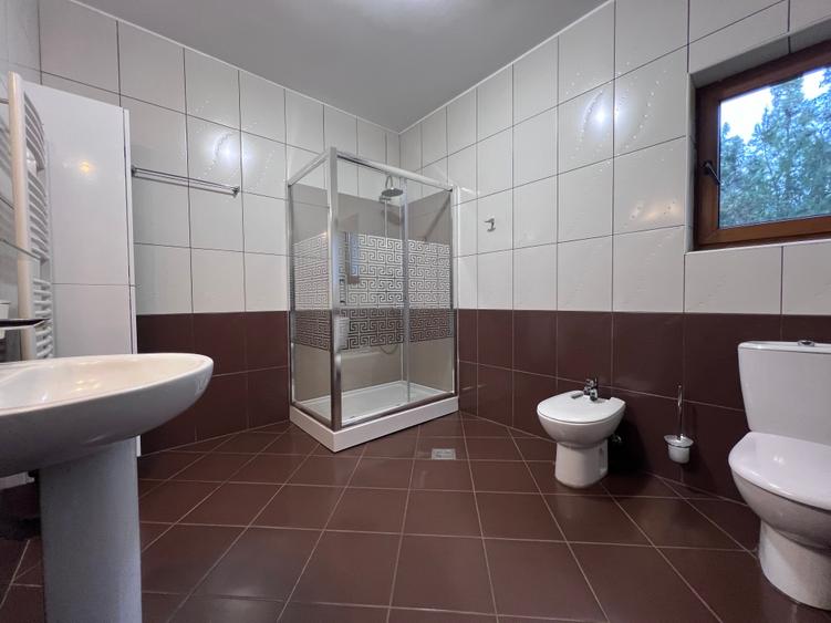 Inchiriere Vila individuala Iancu Nicolae - 27