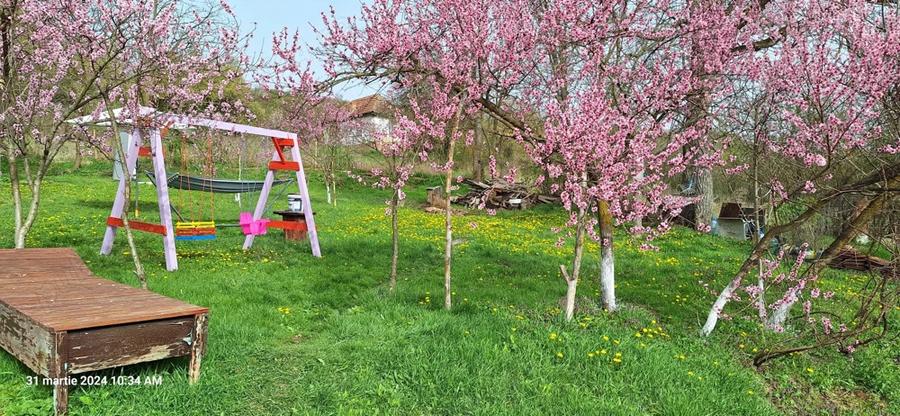 Vand casa la tara - 7