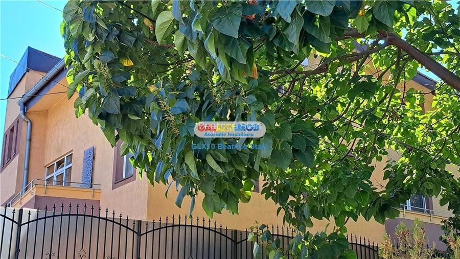 Inchiriere vila reprezentativa Rond Cosbuc / Libertatii / Parcul Carol