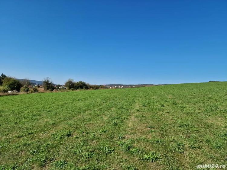 vand teren intravilan agricol 4500 mp in snagov la 40000 euro, - 3