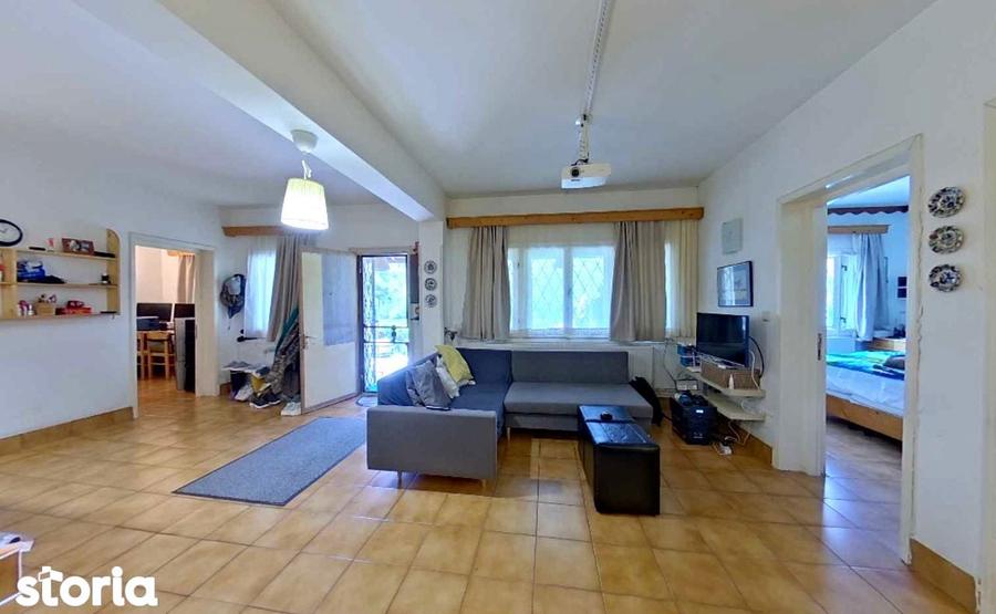 Vila pe lac cu vedere la padure - Pasarea - Branesti - 11