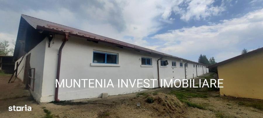 Proprietate de vanzare tip ferma, teren 28150 mp. Balilesti, Arges - 6