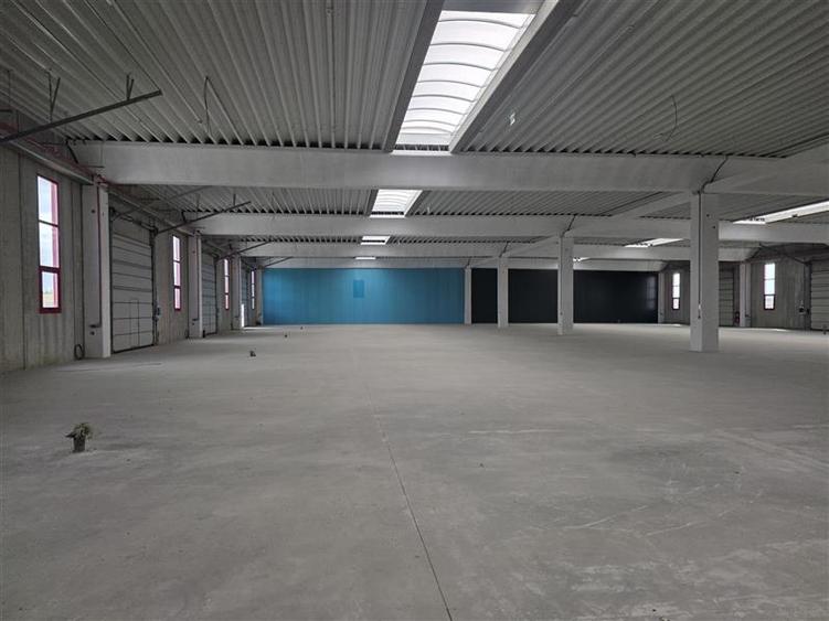 Vanzare depozit/spatiu industrial/hala Chitila - Rudeni, ILFOV - 11