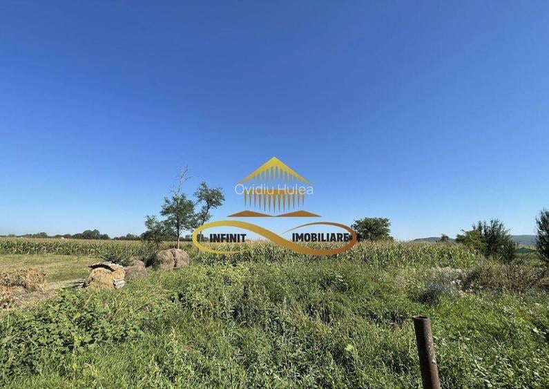 Casa de vanzare in Bacau Siretu 4000 mp teren 2 case curt...