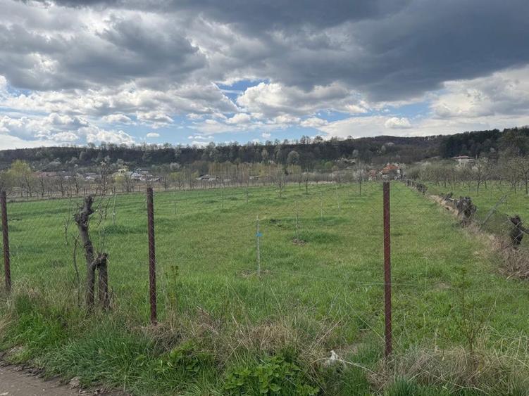 Teren intravilan! - 3