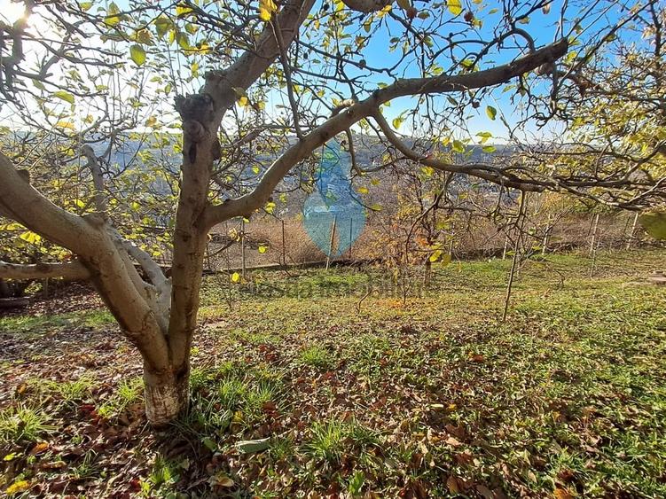 Vila eleganta P+E+M si 1000mp teren, Bucium-Iasi. - 3