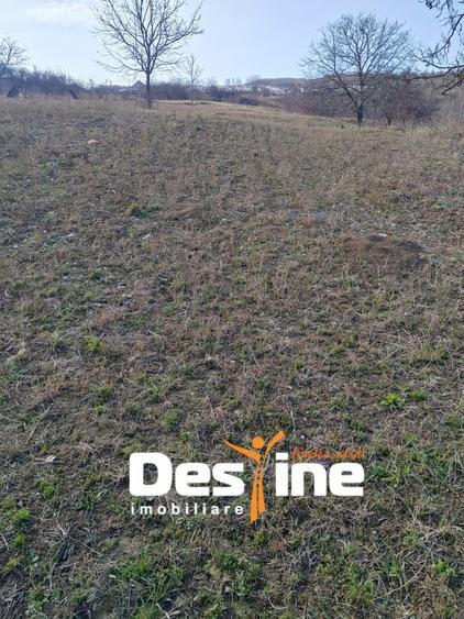 COMISION 0% - Teren intravilan 2091 mp, Mogosesti, Iasi - 1