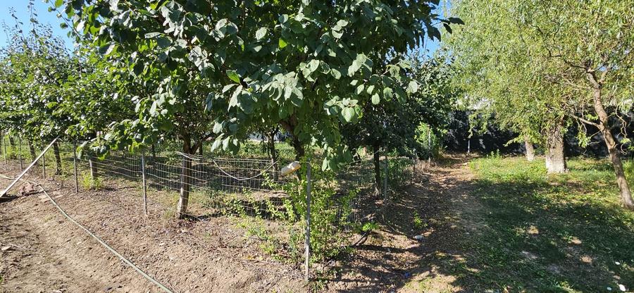 Teren de vanzare Corbeanca  Central. - 4