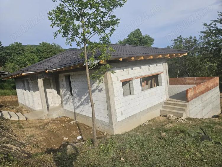 Casa la rosu in cicarlau - 10