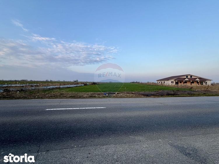 Teren 12,360mp Botarlau / Strada Unirii - 8