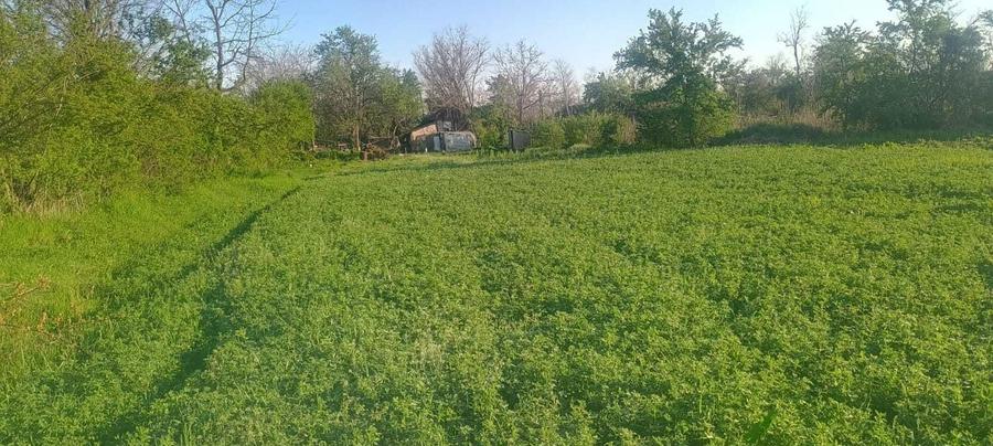 Oaza de liniste la 15 min de A3 Teren 3200mp, utilitati functionale, Merii Petchii - 4