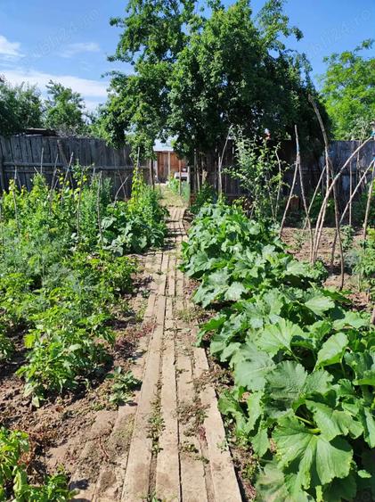 Casa, curte si teren 2780 mp - 2