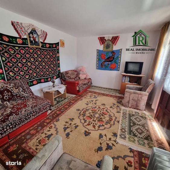 Casa de vacanta Vernesti- Niscov - la padure ! - 3