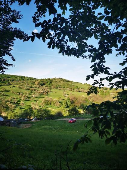 Teren intravilan, doua cabane A-Frame , filigorie, Bradu, jud. Sibiu - 3
