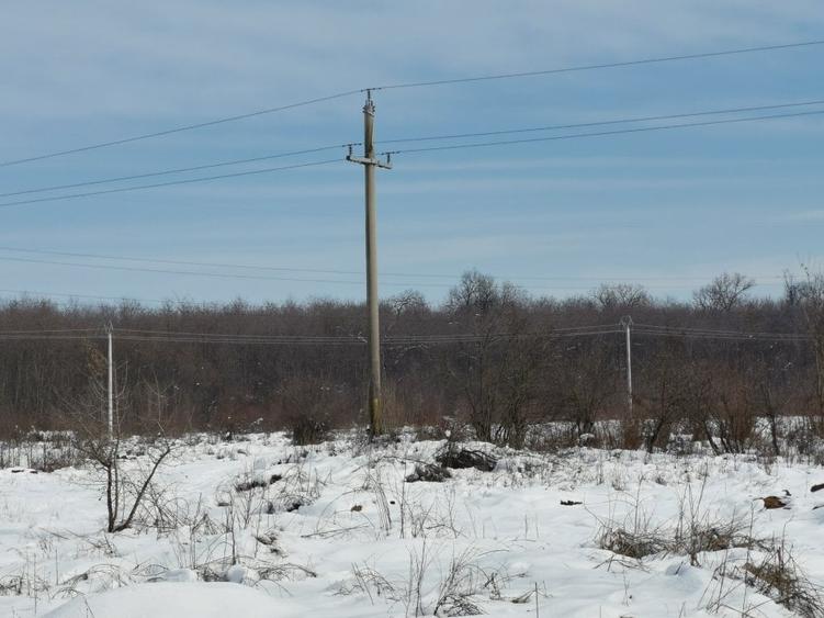 Teren langa padure - Sabareni - 3