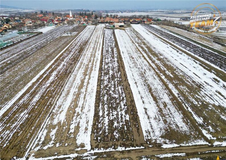 Suprafata intravilan 6.425 mp, oportunitate platforme rezide - 20