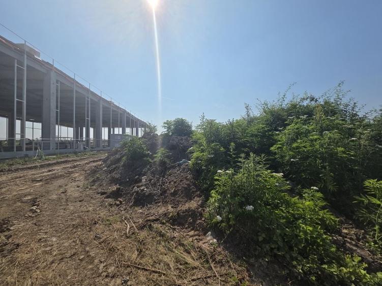 Teren pentru Dezvoltare Logistică - 18.000 mp | Tunari - Comopolis - 2