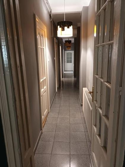 Vila la inchiriere in zona Mosilor - 6