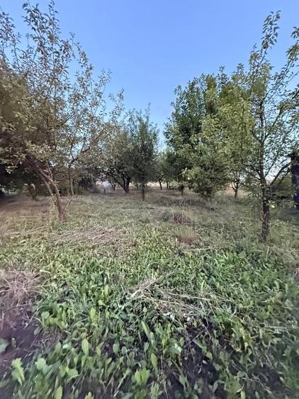 Teren intravilan Aghiresu Fabrici Jud Cluj  25 km Cluj Napoca - 9