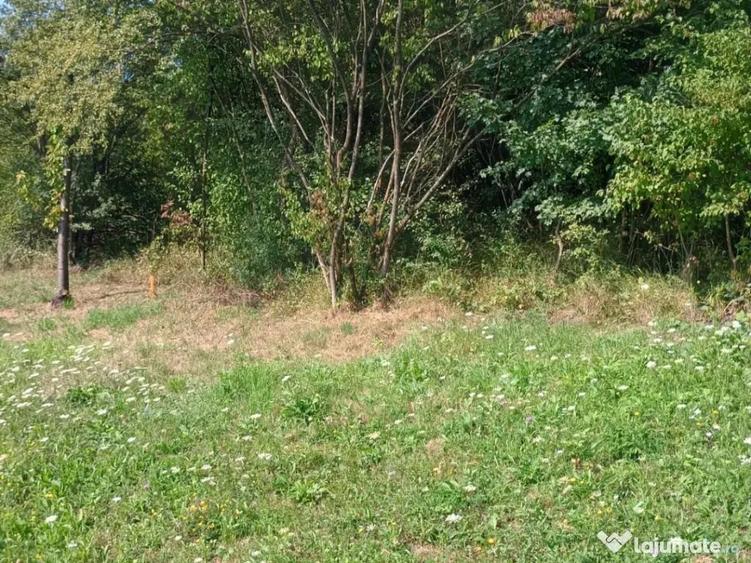 Teren pentru cabana 1084mp - 2