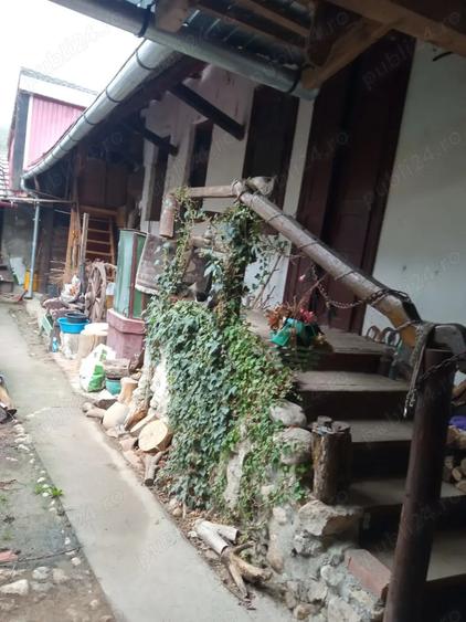 Vand casa in Ilidia - 1