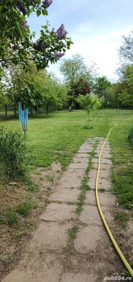 Casa Superba cu Piscina - 8