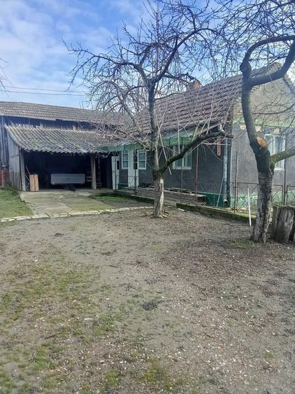 Vand gospodarie traditionala in Socodor - 7