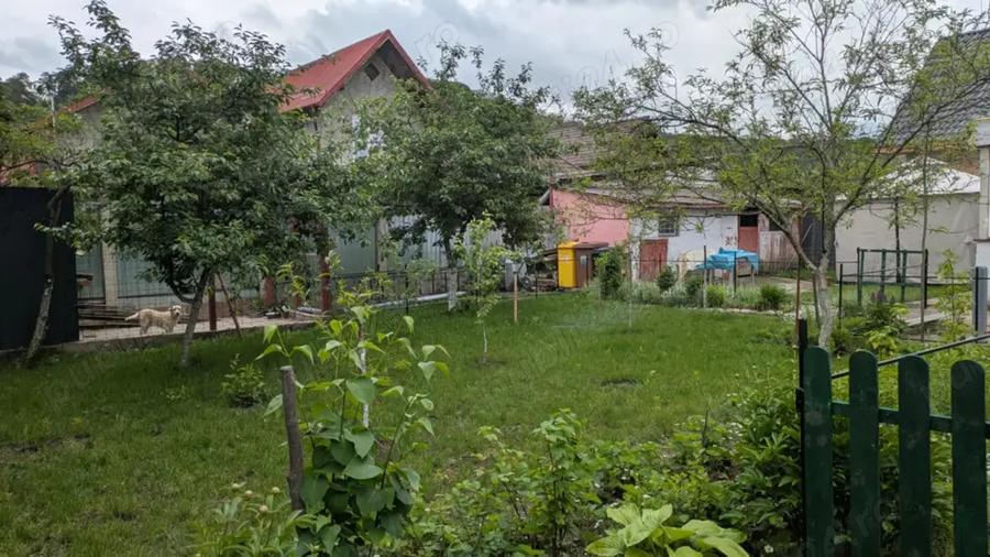 Casa individuala zona linistita - 8