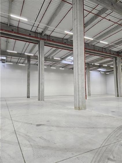 Spatiu Industrial - 3500 mp - Logistica - Productie - Depozitare - 12