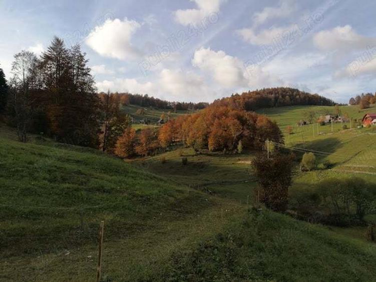 Inima Transilvaniei - 2