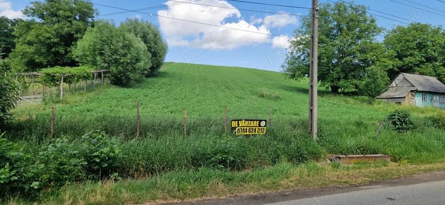 Teren intravilan Petia - 1