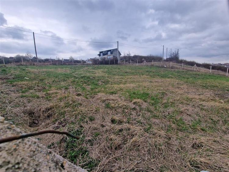 RECO teren intravilan Saldabagiu de Munte - 1