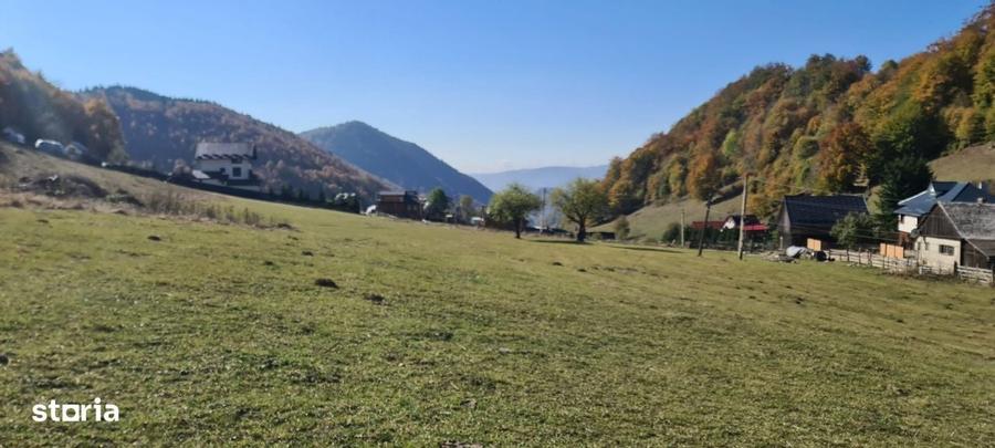 Cabana lemn cu mansarda + teren 2000MP - 8