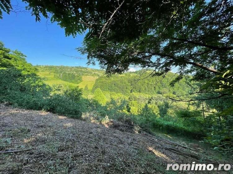 Teren zona turistica Rosia - 2