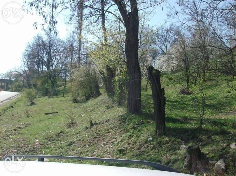 Vand Teren Intravilan Maneciu-Ungureni, Jud. Prahova - 7