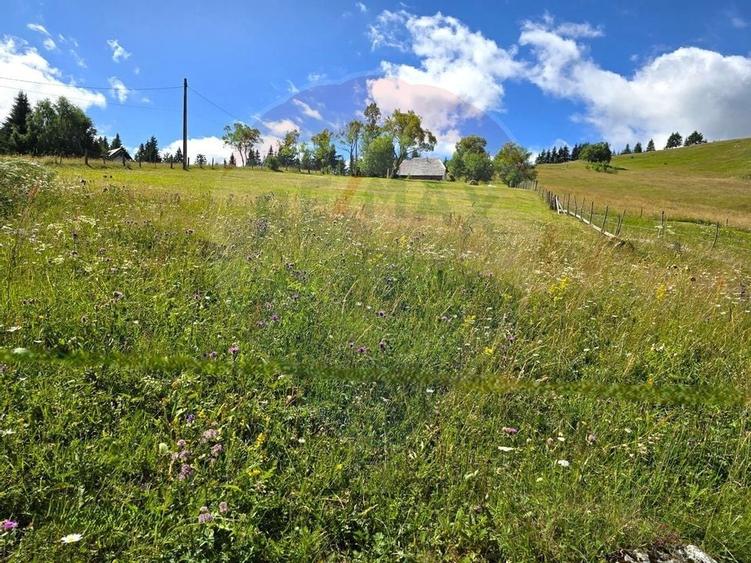 Teren de vis în Fundata 1934mp sau 3868mp, la înălțimea sufletului tău - 8