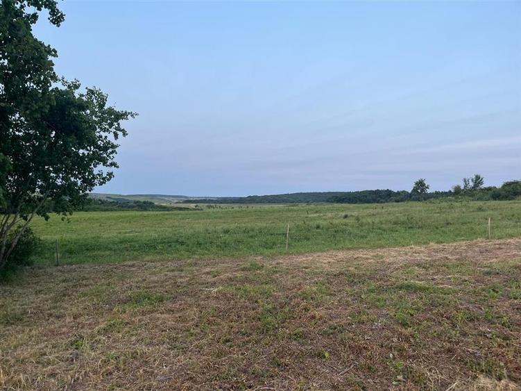 RECO Teren in Paleu 903 mp, acces rapid din Saldabagiu de Munte - 9