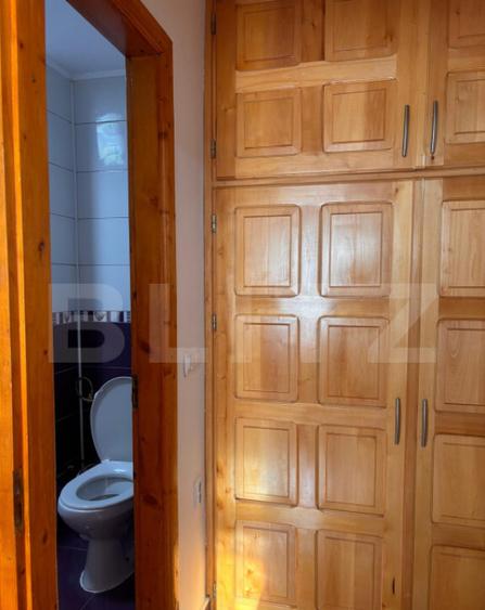 Ocazie! Se inchiriaza apartament in zona centrala la pr - 17