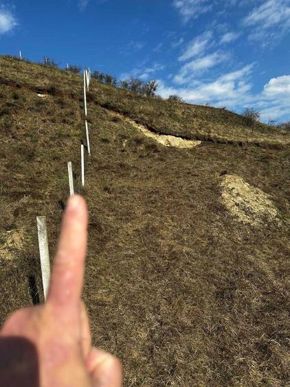 Teren extravilan 9000 mp Corusu, Baciu, drum, ideal investitie - 2