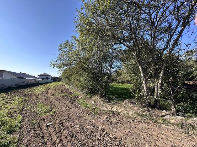 Teren Balotesti Stradal, investitie ideala - 2