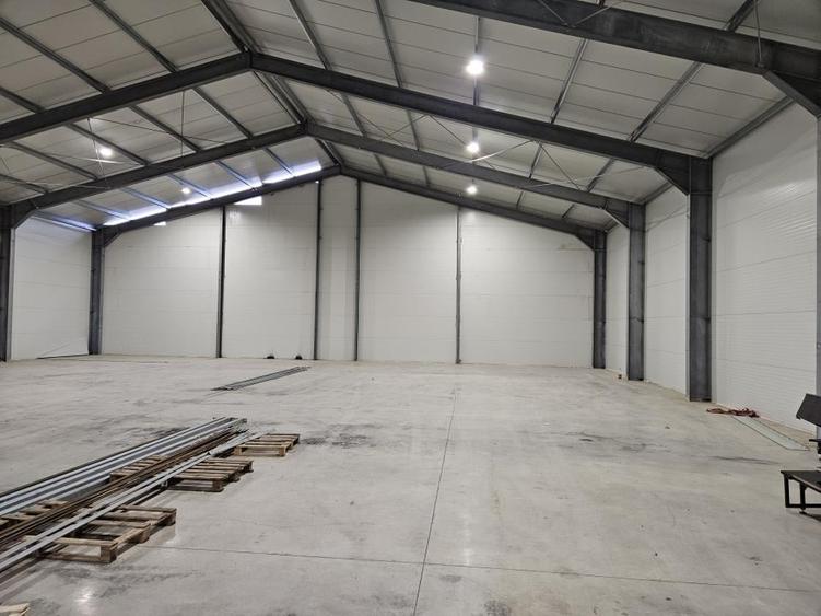 Zona Est - Drumul Intre Tarlale - Cernica - Pallady - Autostrada A2 investitie - 2