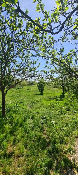 Casa si teren Floresti-Stoenesti,acces A1 - 8