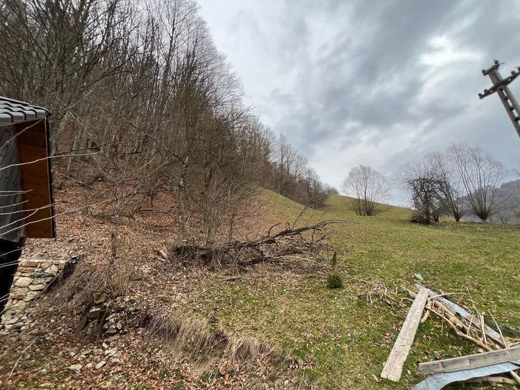 Teren intravilan 12.800 mp investitie - 8