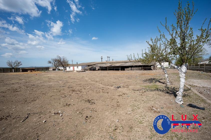 Teren agricol intravilan de 11532 mp, în Mihail Kogălniceanu